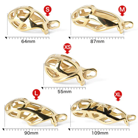 Guardian Chastity Device – Gold Plated Steel