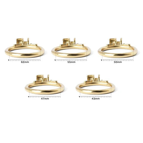 Guardian Chastity Device – Gold Plated Steel
